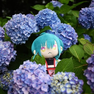 みく🐼💚さんのプロフィール画像