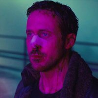 Rainbow Gosling (@rainbowoficial4) 's Twitter Profile