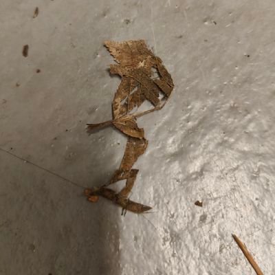 reteida's profile picture. 