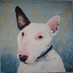 Ted O (@tedolivier) Twitter profile photo Ted O (@tedolivier) Twitter profile photo