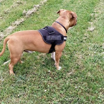 julioj31's profile picture. 