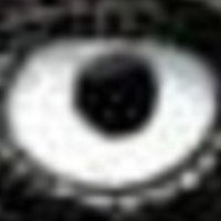 SchlächterUmgang (@meinungshygiene) 's Twitter Profile