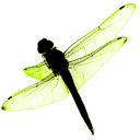 fred_rock - @fred_sueco - Twitter