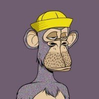 Sicilion_crypto's profile picture. lfg $BEER @beercoinmeme