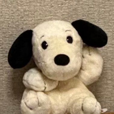 かんなさん専用‪⸜‪‪☺︎‬⸝‬‪‪ けろ on X