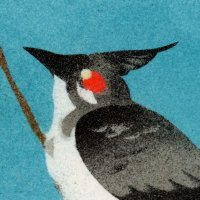 BuL/鹎(Delegate close) (@bulbul_bei) 's Twitter Profile Photo BuL/鹎(Delegate close) (@bulbul_bei) 's Twitter Profile Photo