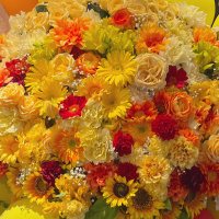 🤳🏻 (@5545555d) 's Twitter Profile Photo 🤳🏻 (@5545555d) 's Twitter Profile Photo