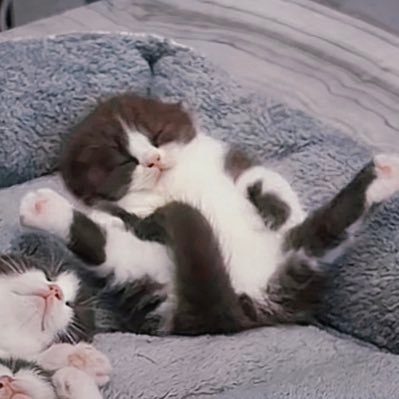 Neung2345's profile picture. ใช้ชีวิตในแบบที่ฉันเป็น และมันคือ ตัวฉัน :)