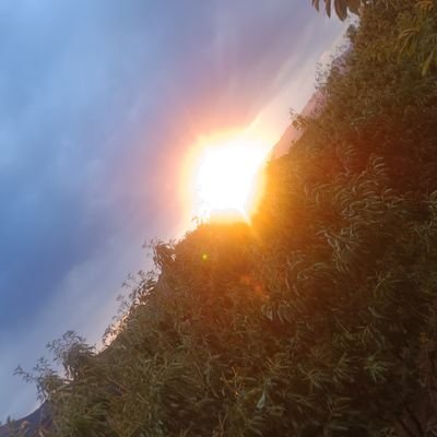 ligujn11's profile picture. 