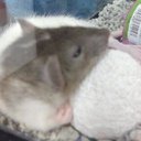 Gina Joy - @GinaJoy310631 - Twitter