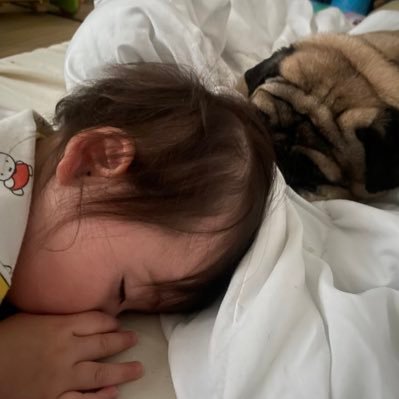 yuuuuuno5626's profile picture. R6簿記一級🌸 R7簿記論、財表