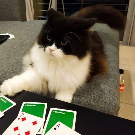 snatchy80's profile picture. 