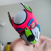π CLOVER DOG π (@pupclover) 's Twitter Profile