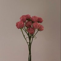 Elham (@1e00x) 's Twitter Profile