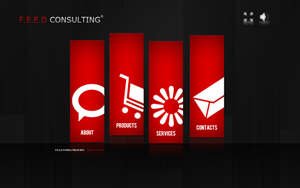 F.e.e.d Consulting