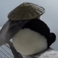 legendtony.eth (@deadlegendtony) 's Twitter Profile Photo legendtony.eth (@deadlegendtony) 's Twitter Profile Photo