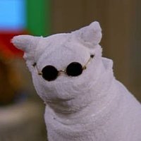 joneto (@netodojo) 's Twitter Profile
