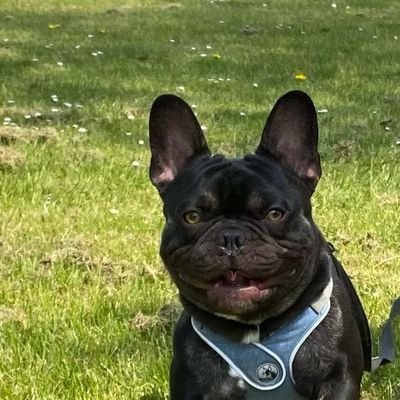 CryptoNite_Man's profile picture. 