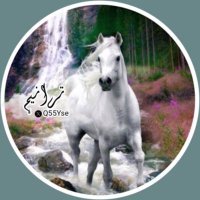 تـرانيــم (@q55yse) 's Twitter Profile