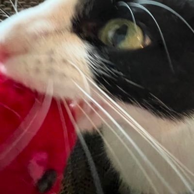 hxx_fxxk's profile picture. 22 🎸🎯