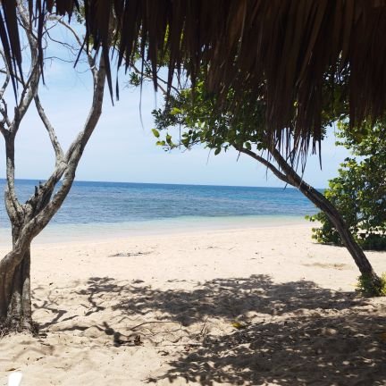 SULEIKASANCHEZ1's profile picture. easy come Easy go.  :(