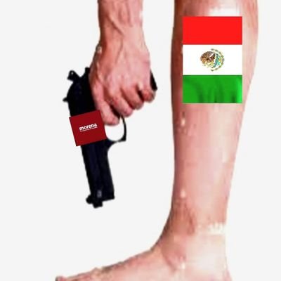 Convencido que la política puede y debe estar al servicio del bien común, amo a México, herencia de mis padres y de mi a mis hijos, México puede ser mejor país.