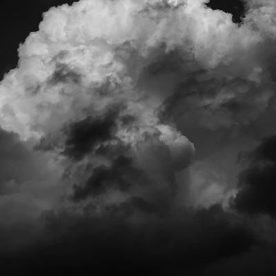 drozulu's profile picture. 