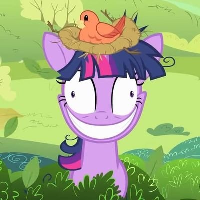 sehun10456's profile picture. เดี๋ยวมึงได้เจอพลังแห่งมิตรภาพ | เจ้าหญิงแห่งเอเควสเทีย ✨️✨️