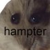 me when im hampter (@hamsterwield) Twitter profile photo me when im hampter (@hamsterwield) Twitter profile photo