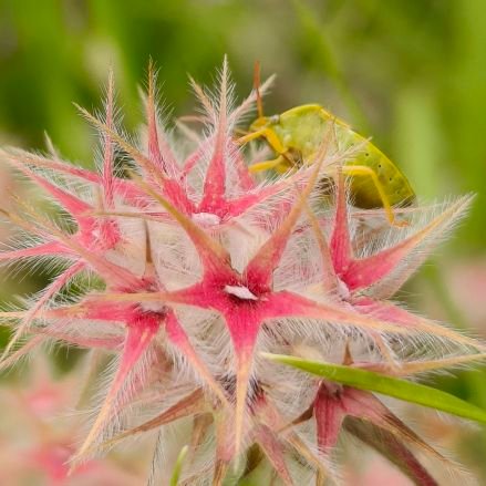 fornfan's profile picture. Nachdenken hat nichts mit Bringschuld zu tun