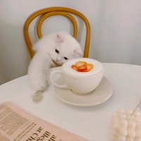 𝕞𝕚𝕝 📖🔖𓂃𓈒𓂂 (@mil___3) Twitter profile photo