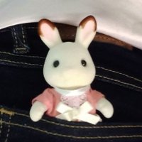 giulia (@pcyelling) 's Twitter Profile