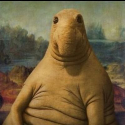 ox_ox_kh's profile picture. 🇨🇵