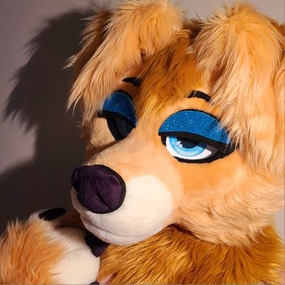 goldenboicasey's profile picture. Hai! I ❤️ Golden Retrievers and being one too! :3