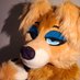 Casey (@goldenboicasey) Twitter profile photo Casey (@goldenboicasey) Twitter profile photo