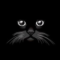 xSync 🇰🇵😼 (@xsync) 's Twitter Profile Photo xSync 🇰🇵😼 (@xsync) 's Twitter Profile Photo