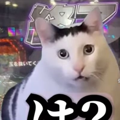 naoya2658's profile picture. 