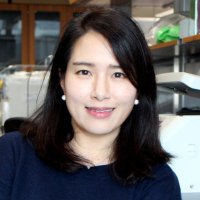 Jeeyun Chung (@jeeyunc) 's Twitter Profile