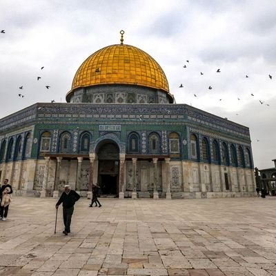 tbib_lmasha3ir's profile picture. الشعر ...ميلاد .. و في نفسي مالم أستطع البوح به , بداية القصة لا أتذكرها جيدا و نهايتها لا تبدو واضحة يوما ما في المقهى السكير الثمل و مرأة البادية و كتبي