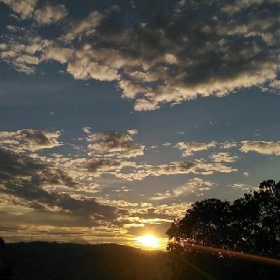 rannyjinx's profile picture. look at you! 😂👊🏽