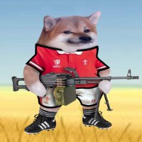 Badger Fella 🏴🇺🇦🇬🇧🇪🇺🇺🇲 (@badge55950) 's Twitter Profile Photo Badger Fella 🏴🇺🇦🇬🇧🇪🇺🇺🇲 (@badge55950) 's Twitter Profile Photo