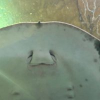 the ◡̈ (@twdsxx) 's Twitter Profile