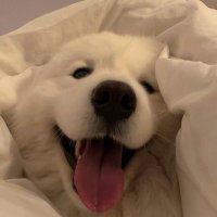 มี๊🧊ของจิ๋วorอ้วม 🐱🦋💓 (@nareerat_7) 's Twitter Profile Photo มี๊🧊ของจิ๋วorอ้วม 🐱🦋💓 (@nareerat_7) 's Twitter Profile Photo