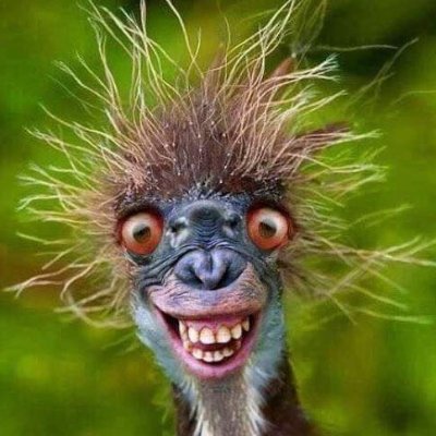 Nadblue69's profile picture. Terroriste intellectuelle
Je veux croire en un monde meilleur
à l'harmonie des êtres humains entre eux et avec la nature.

#6eRepublique
#SixièmeRépublique.