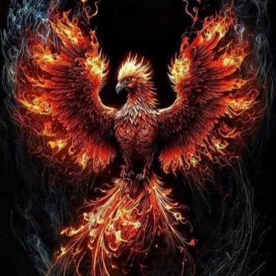 Midnight4481's profile picture. America First 🇺🇸 MAGA 🇺🇸Pro 2A🇺🇸 Take back America🇺🇸Lock up the Anti-American traitors🇺🇸