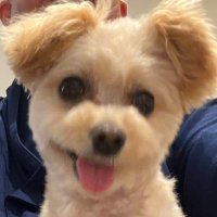 / (@7_4oqi) Twitter profile photo