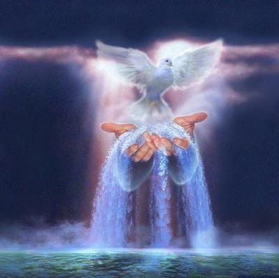 _silverbird77's profile picture. 