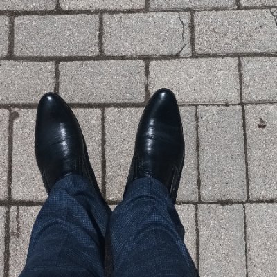 agrisvolkovs's profile picture. Forklift certified dekrētis