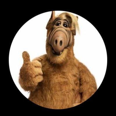Union des Droites, le déferlement invraisemblable de violence sur la jeune Mila m’aura fait démarrer sur Twitter.Brith Mila, Avocat,Cardiologie et Infectieux.
