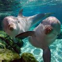 sergio david jacobo - @sdcjacobo17 - Twitter